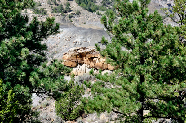 first scenery inside Makoshika State Park